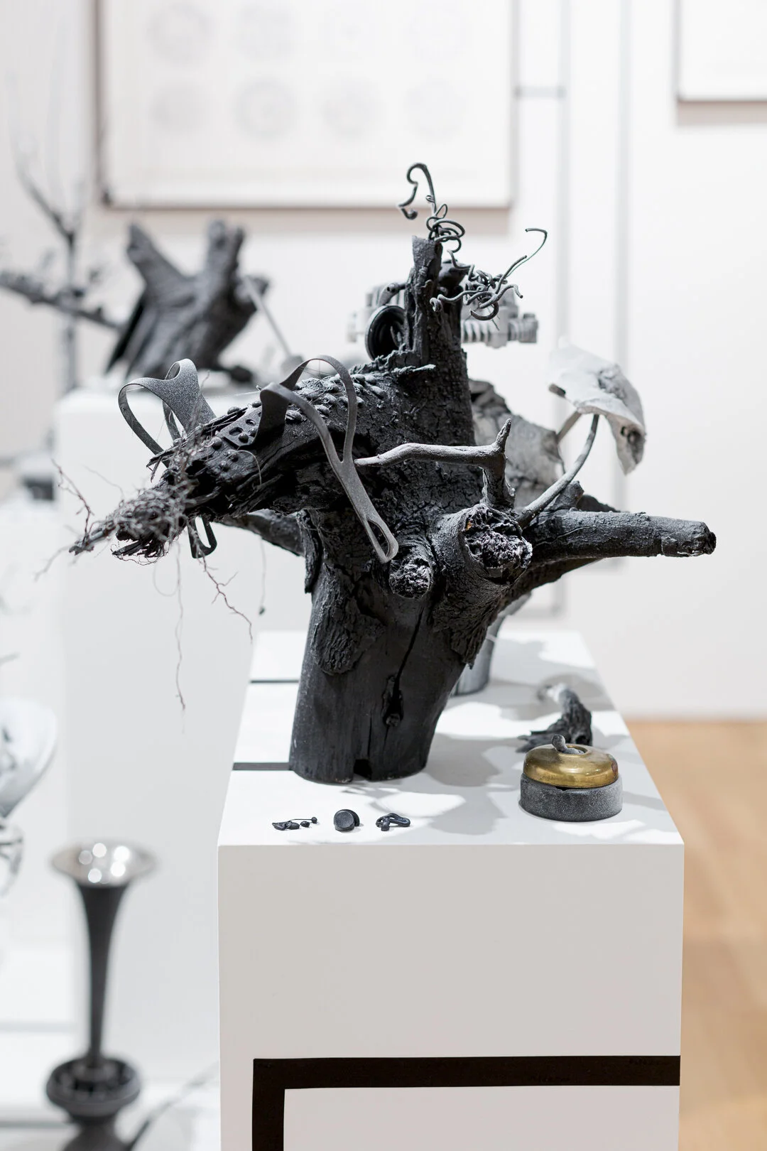  Photo Credit: Sarah Kukathas, Document Photography 