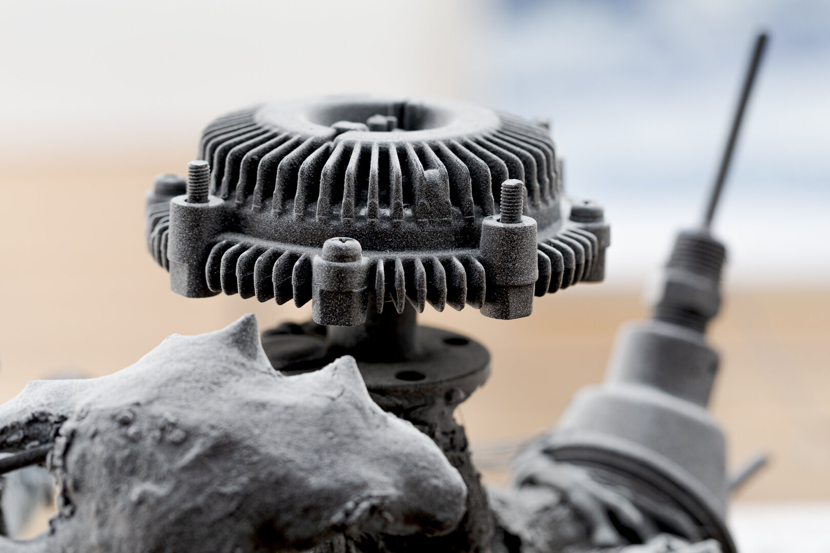  Photo Credit: Sarah Kukathas, Document Photography 