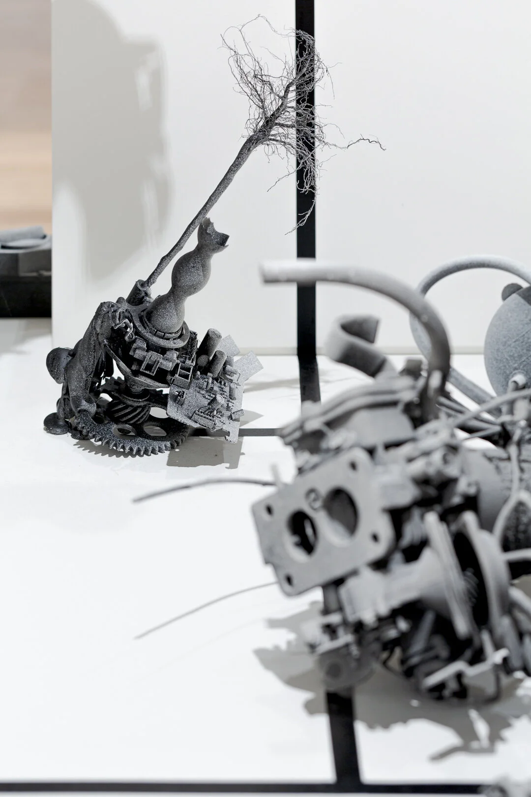  Photo Credit: Sarah Kukathas, Document Photography 