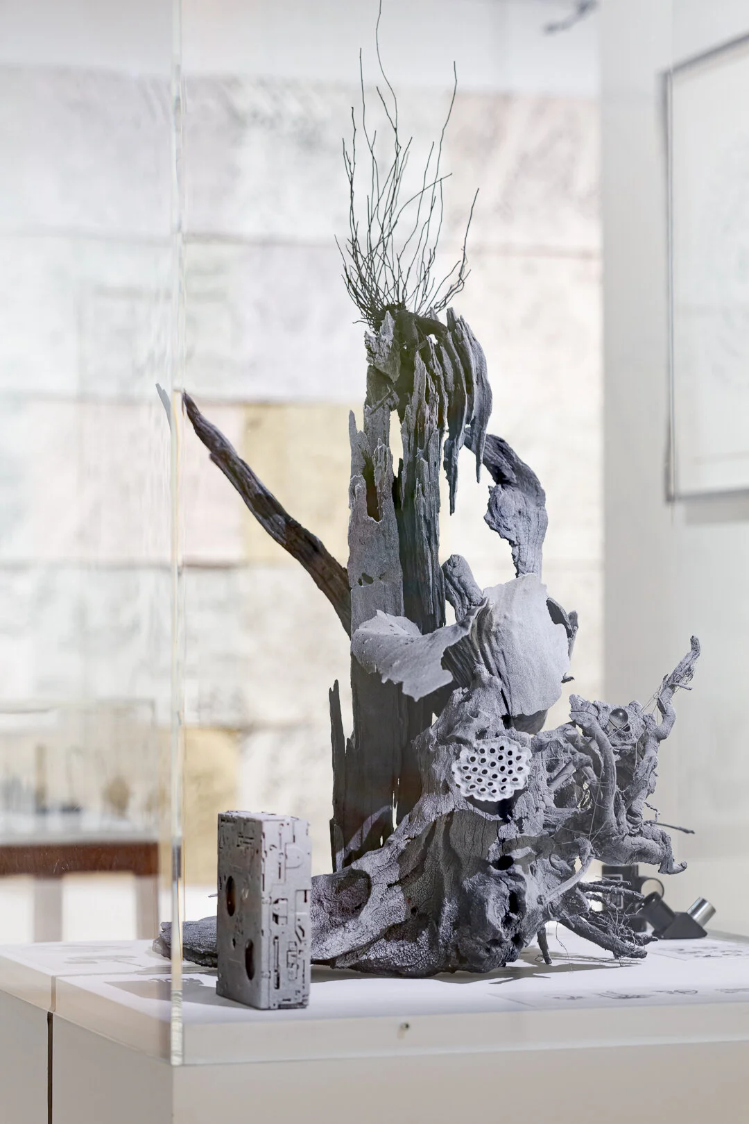  Photo Credit: Sarah Kukathas, Document Photography 