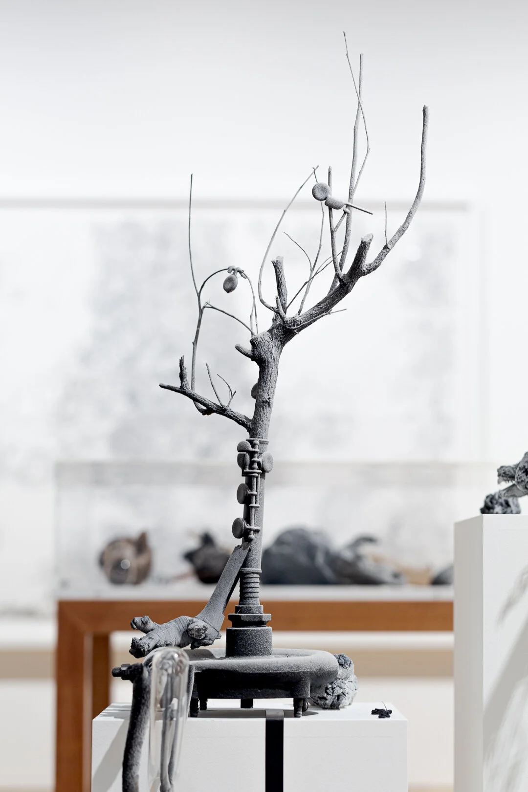  Photo Credit: Sarah Kukathas, Document Photography 