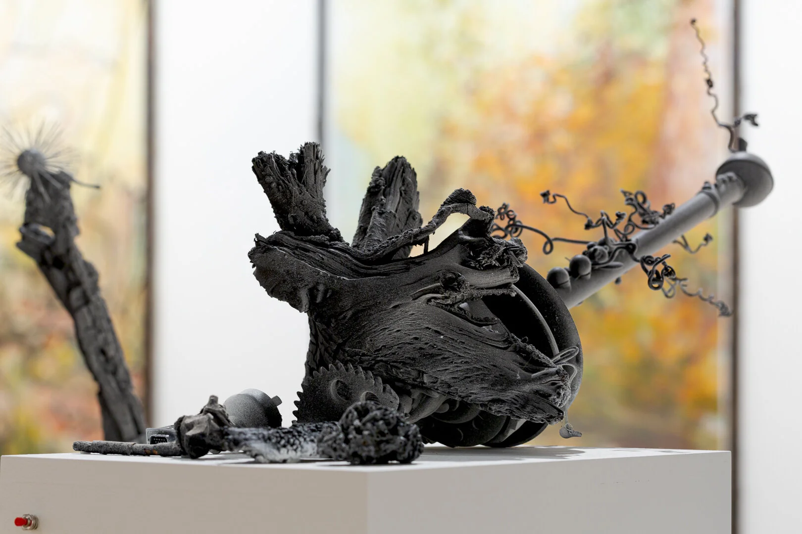  Photo Credit: Sarah Kukathas, Document Photography 