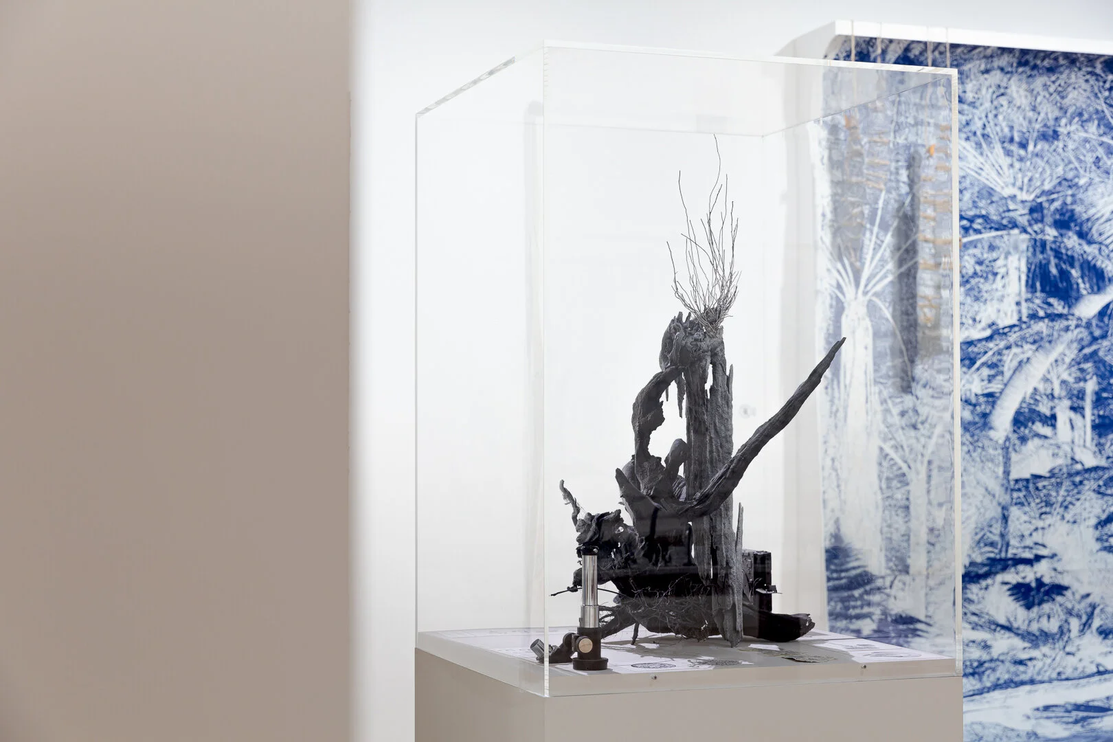  Photo Credit: Sarah Kukathas, Document Photography 