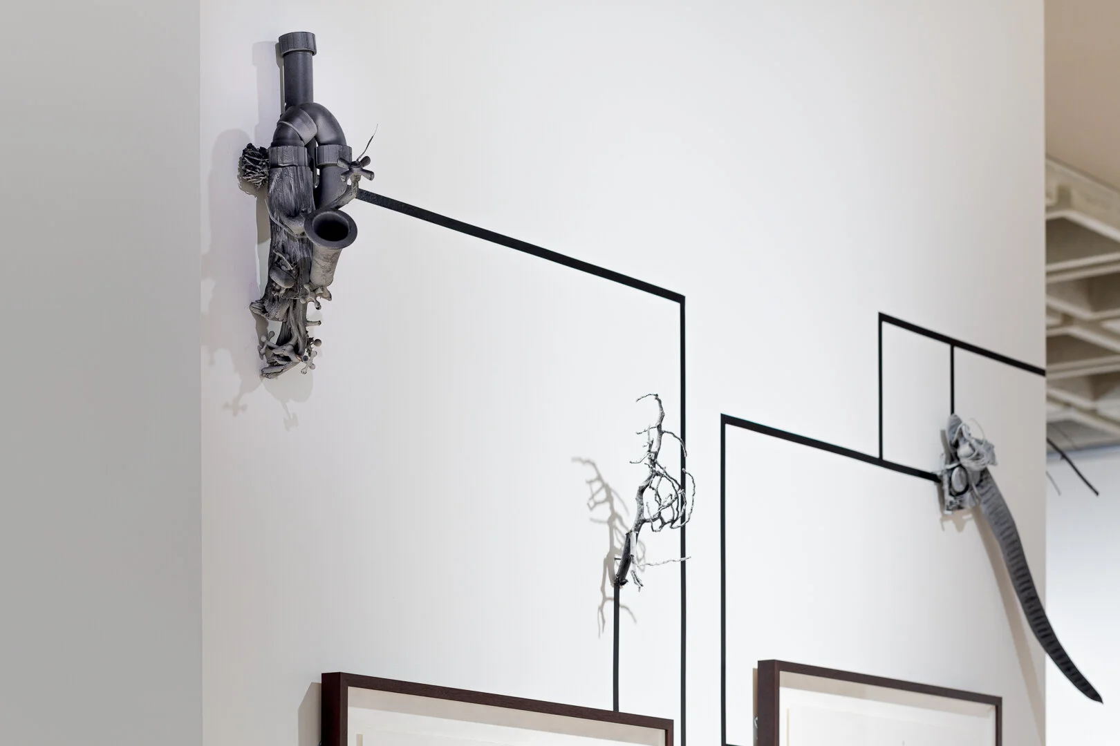  Photo Credit: Sarah Kukathas, Document Photography 