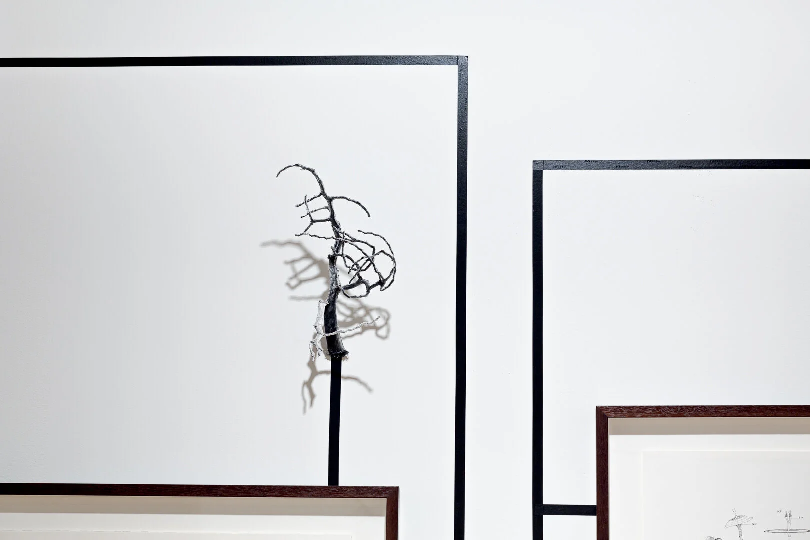  Photo Credit: Sarah Kukathas, Document Photography 