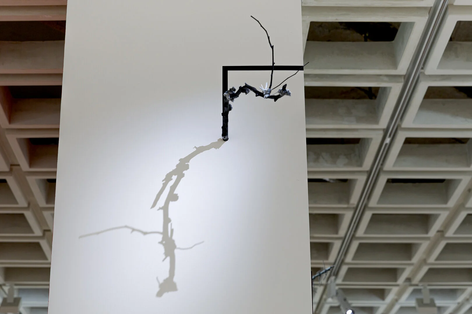  Photo Credit: Sarah Kukathas, Document Photography 