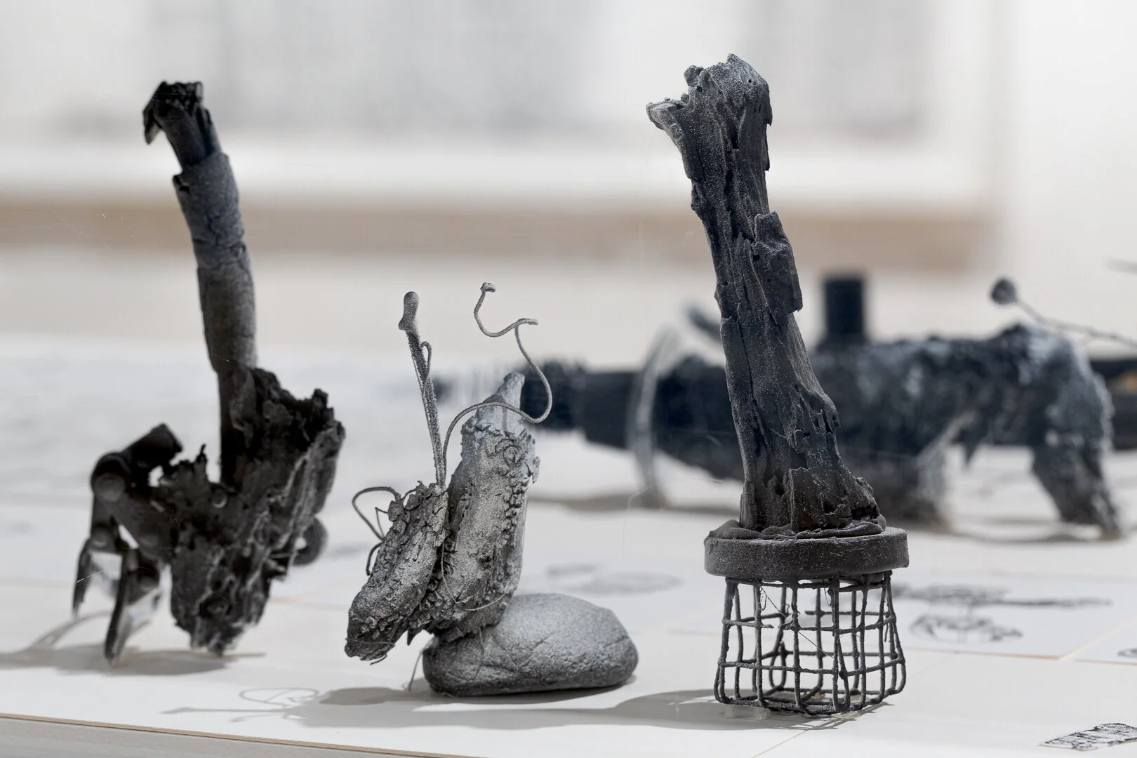  Photo Credit: Sarah Kukathas, Document Photography 