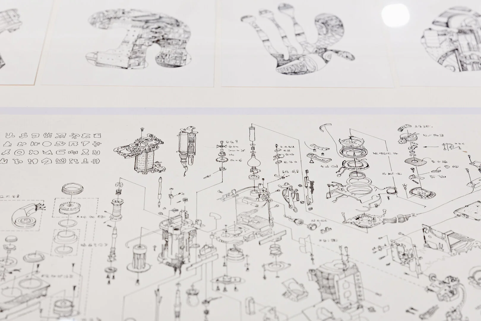  Photo Credit: Sarah Kukathas, Document Photography 