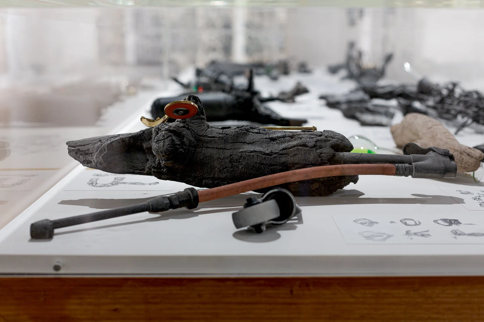  Photo Credit: Sarah Kukathas, Document Photography 