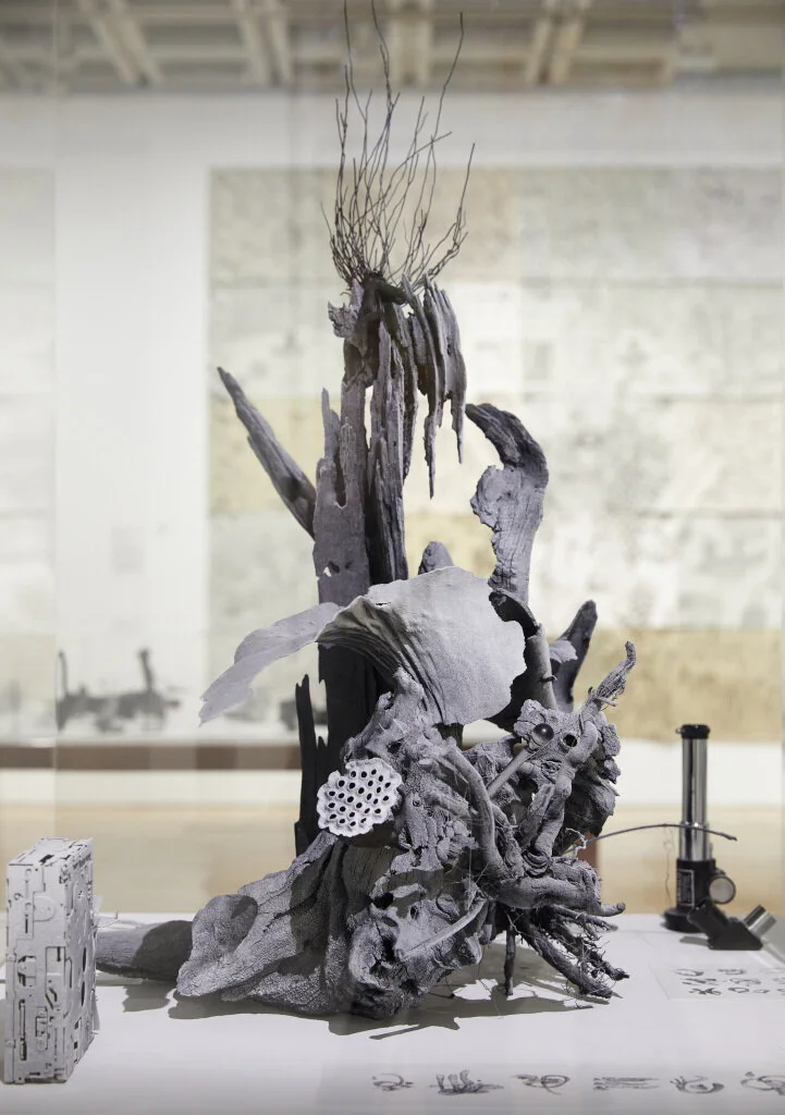  Photo Credit: © AGNSW, Christopher Snee 