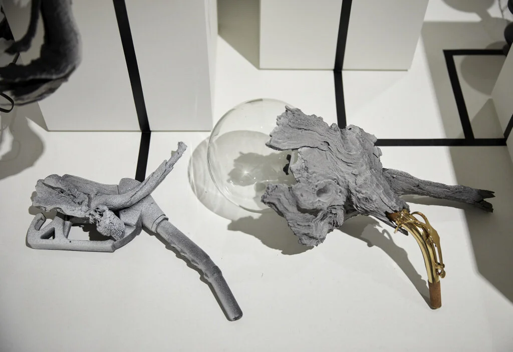  Photo Credit: © AGNSW, Christopher Snee 