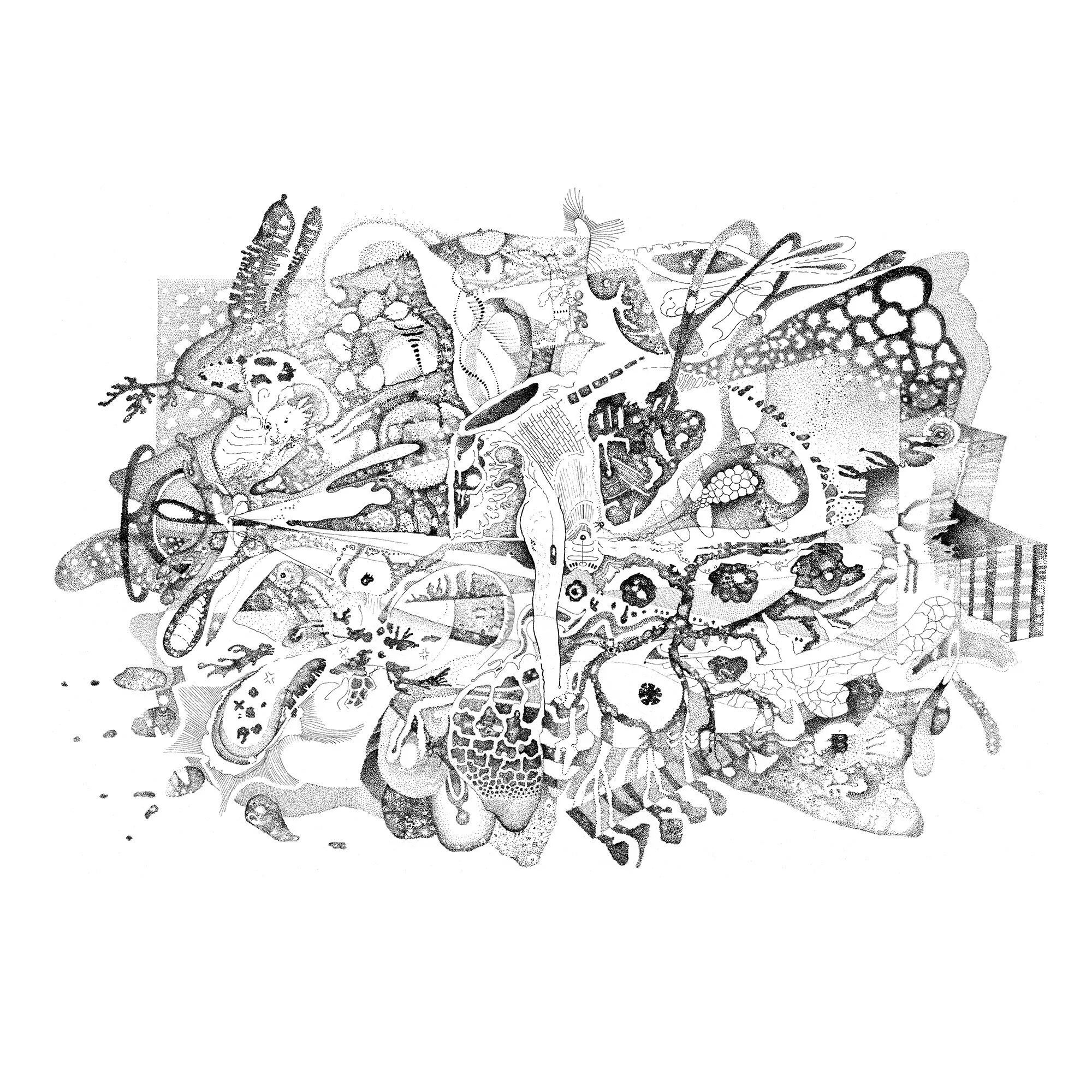 Whitagram-Image 1.JPG