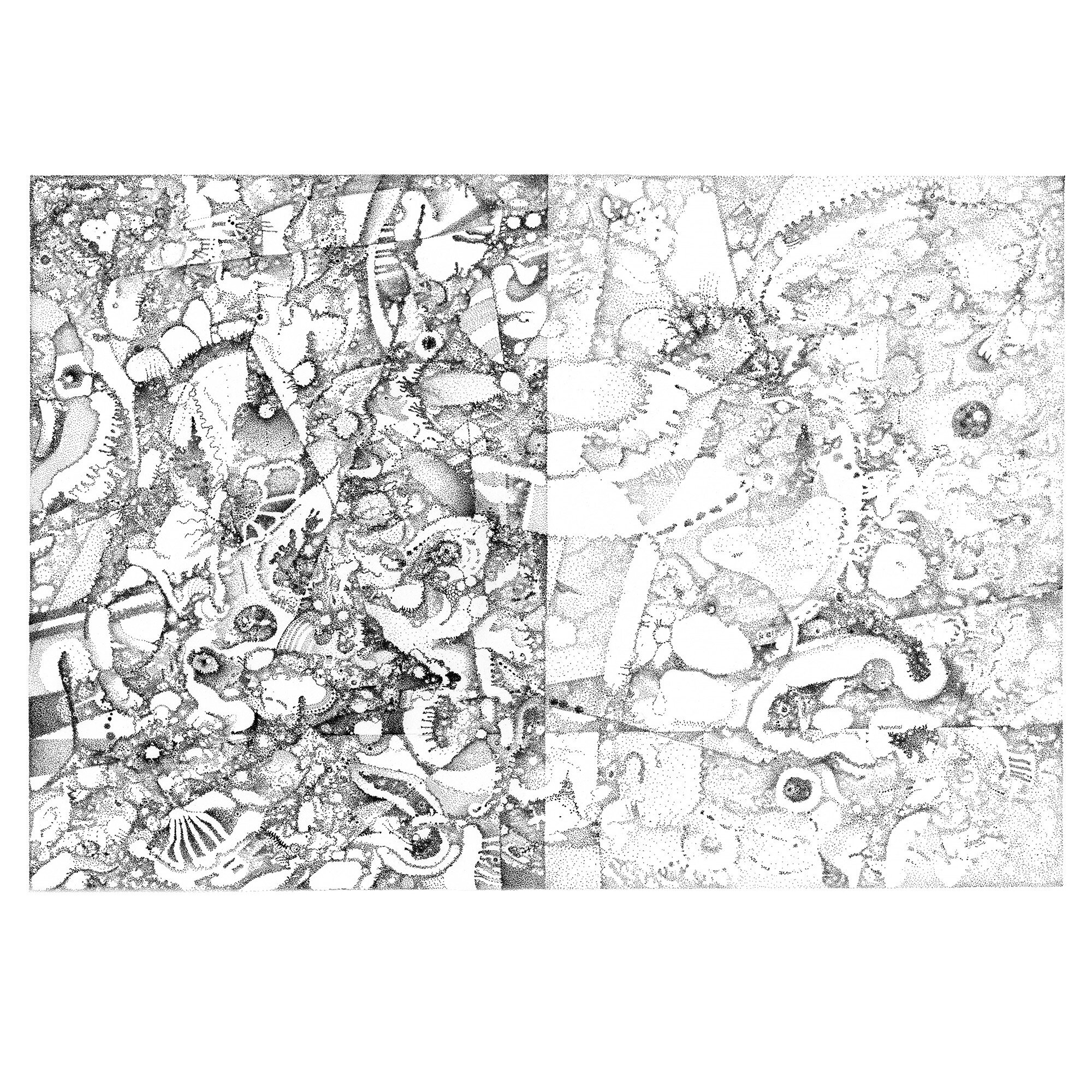 Whitagram-Image 4.JPG