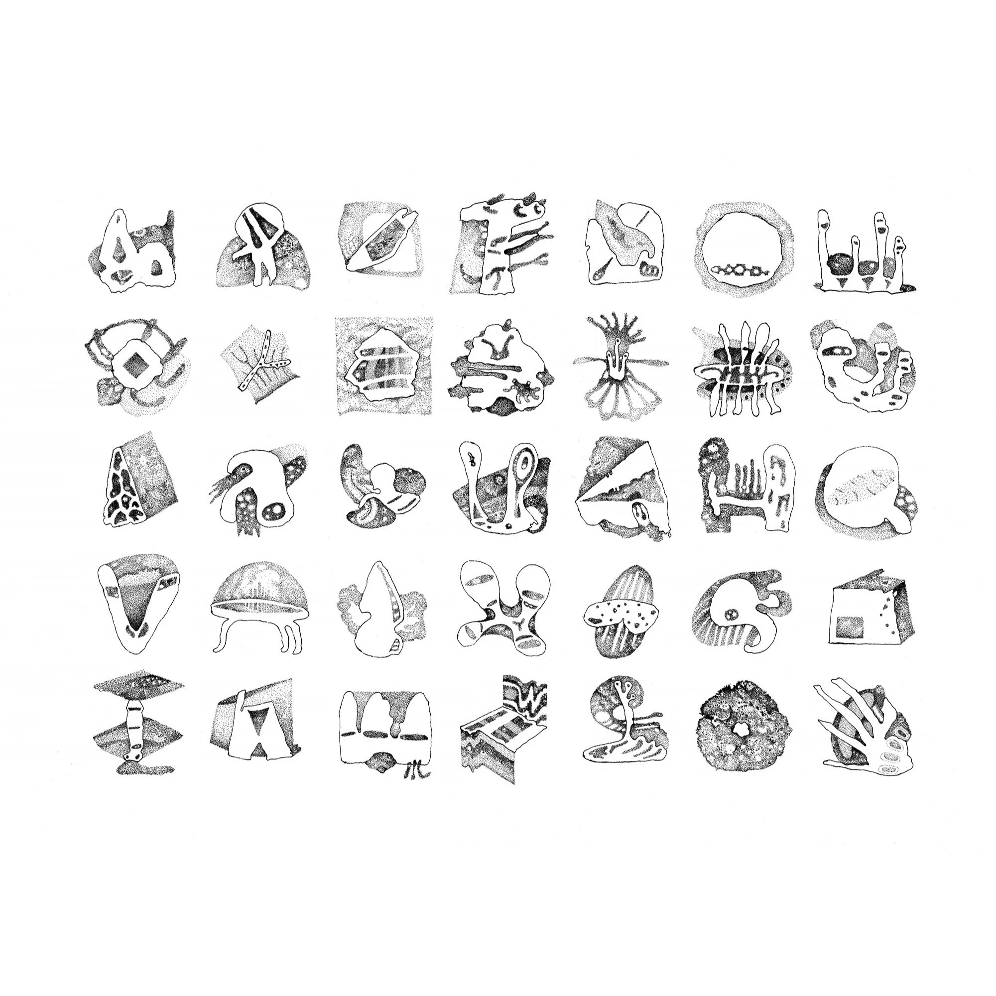 Whitagram-Image 6.JPG