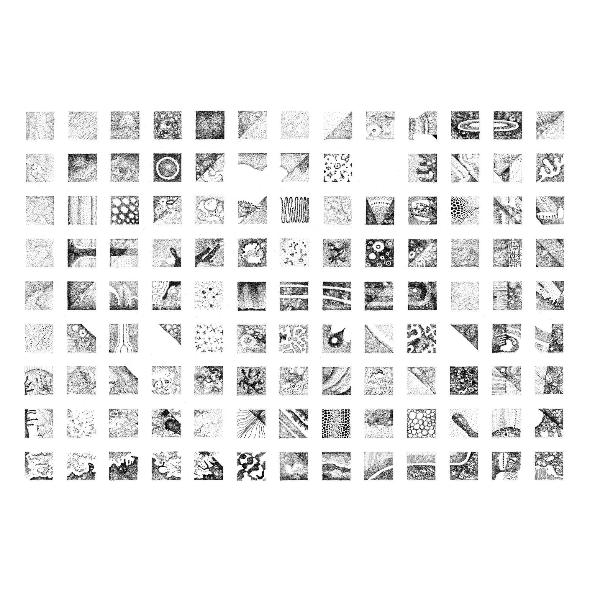 Whitagram-Image 7.JPG