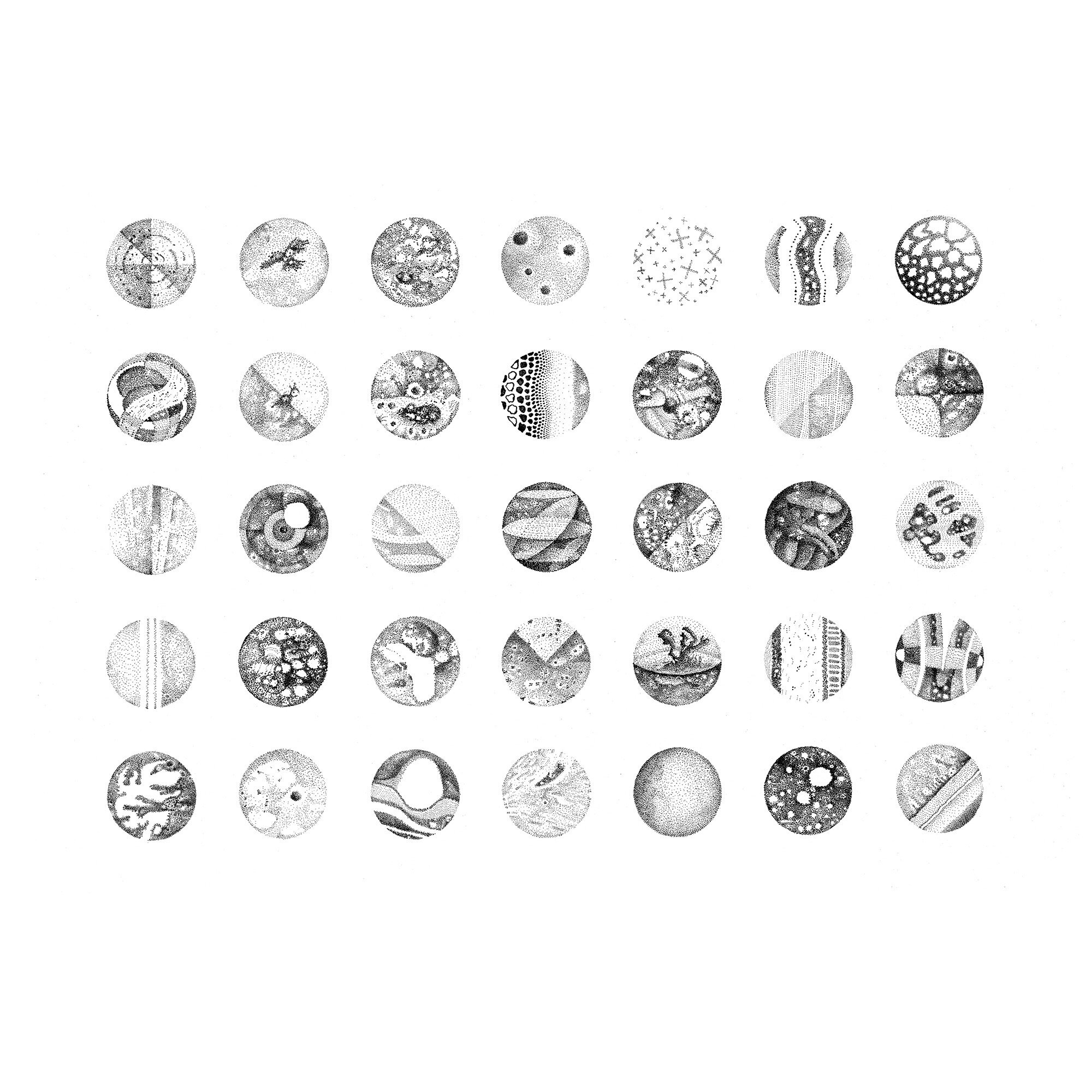 Whitagram-Image 8.JPG