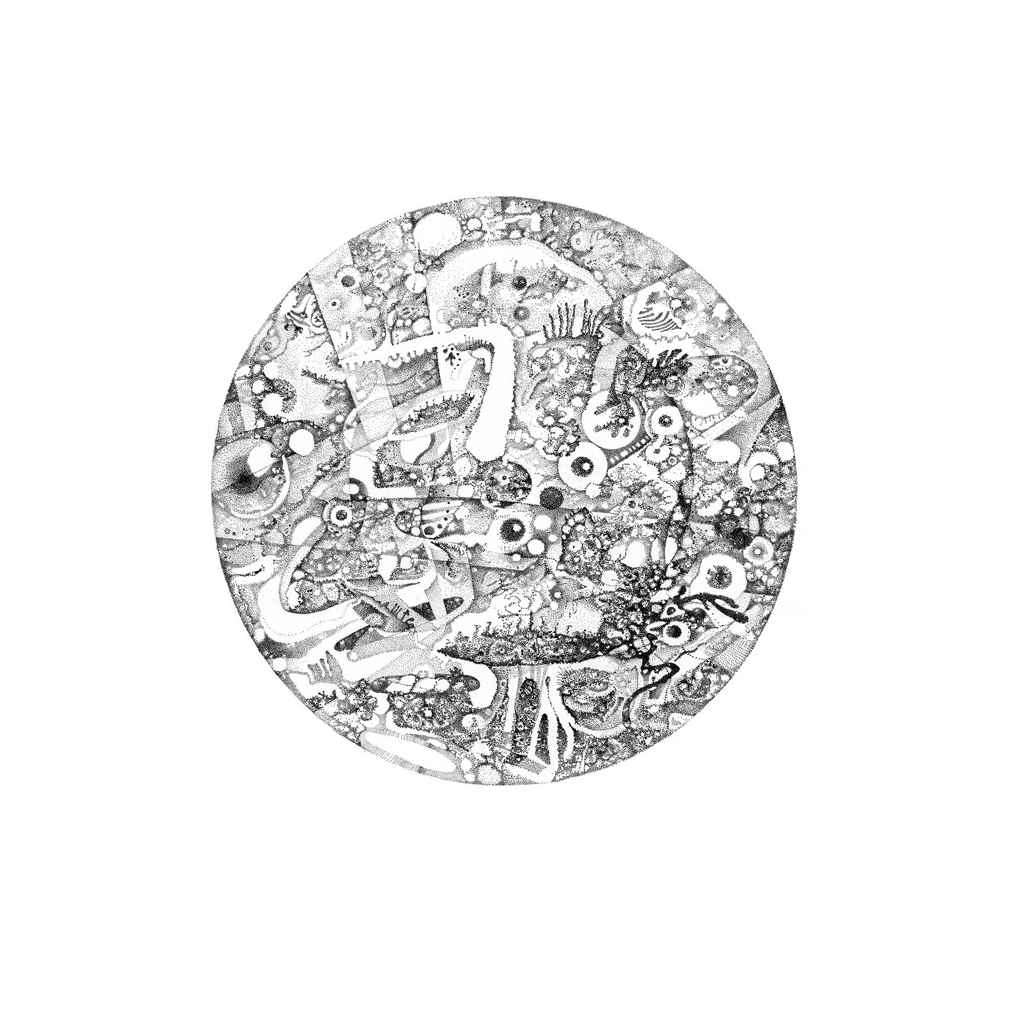 Whitagram-Image 9.JPG