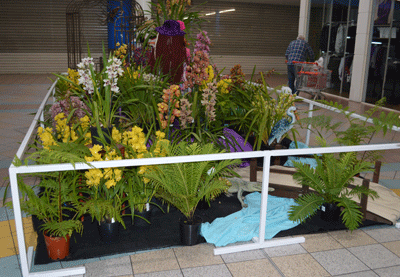 Munno Para Winter Show