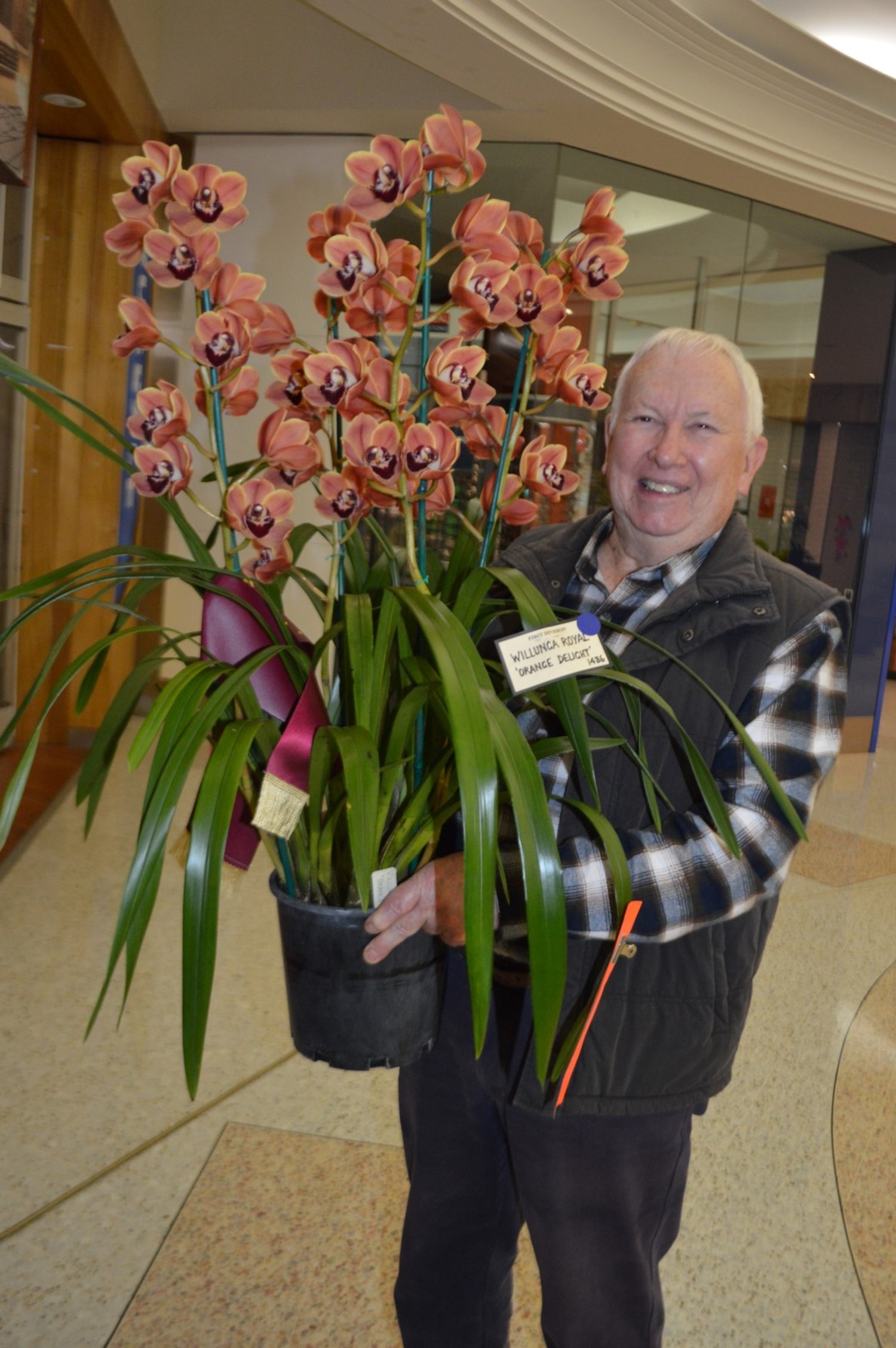 Flower of Division (First): Cym Willunga Royal 'Orange Delight', grown by Maz Kahlbaum