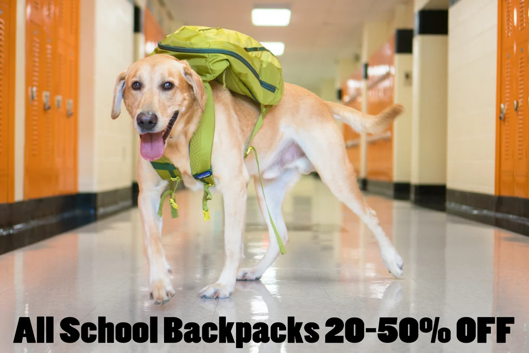 BackpacksSale.jpg
