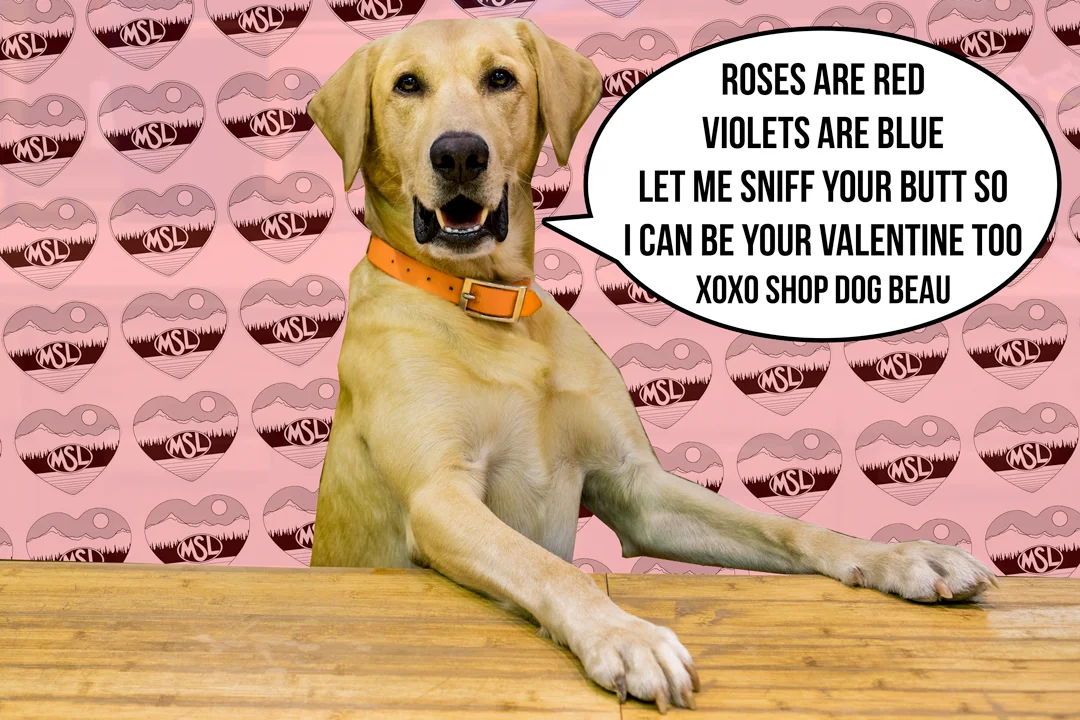 ValentineFromBeau.jpg