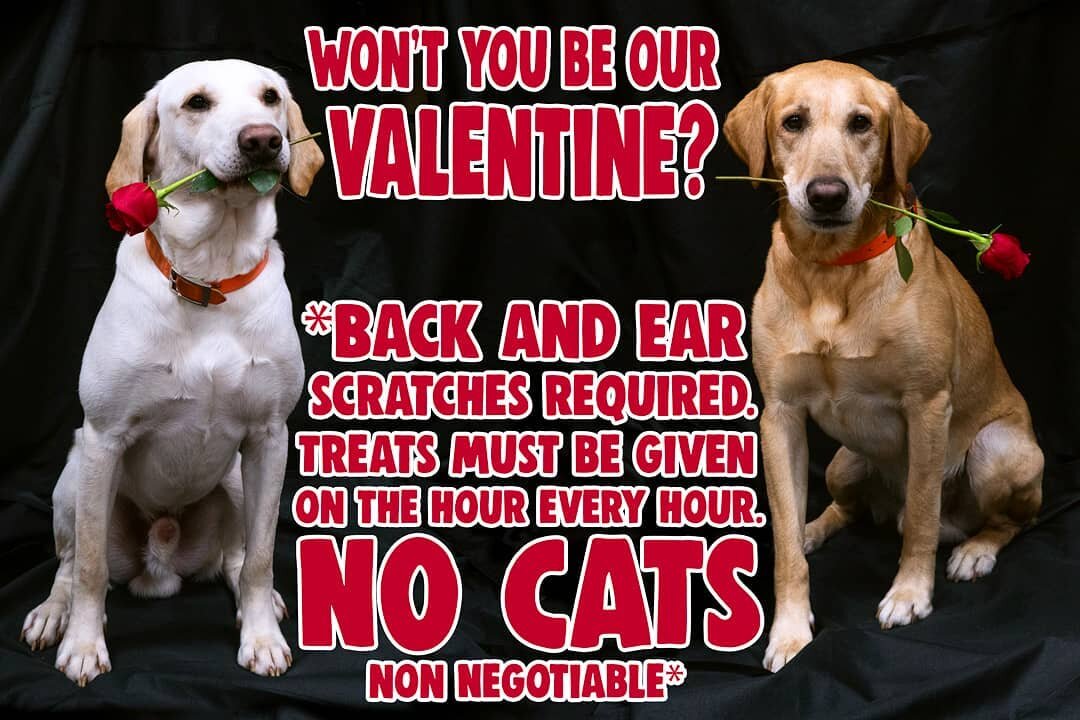 XOXO Beau and Cash...open 1:00pm to 5:00pm Valentine's Day so come shop our Winter Sale for your Valentine!