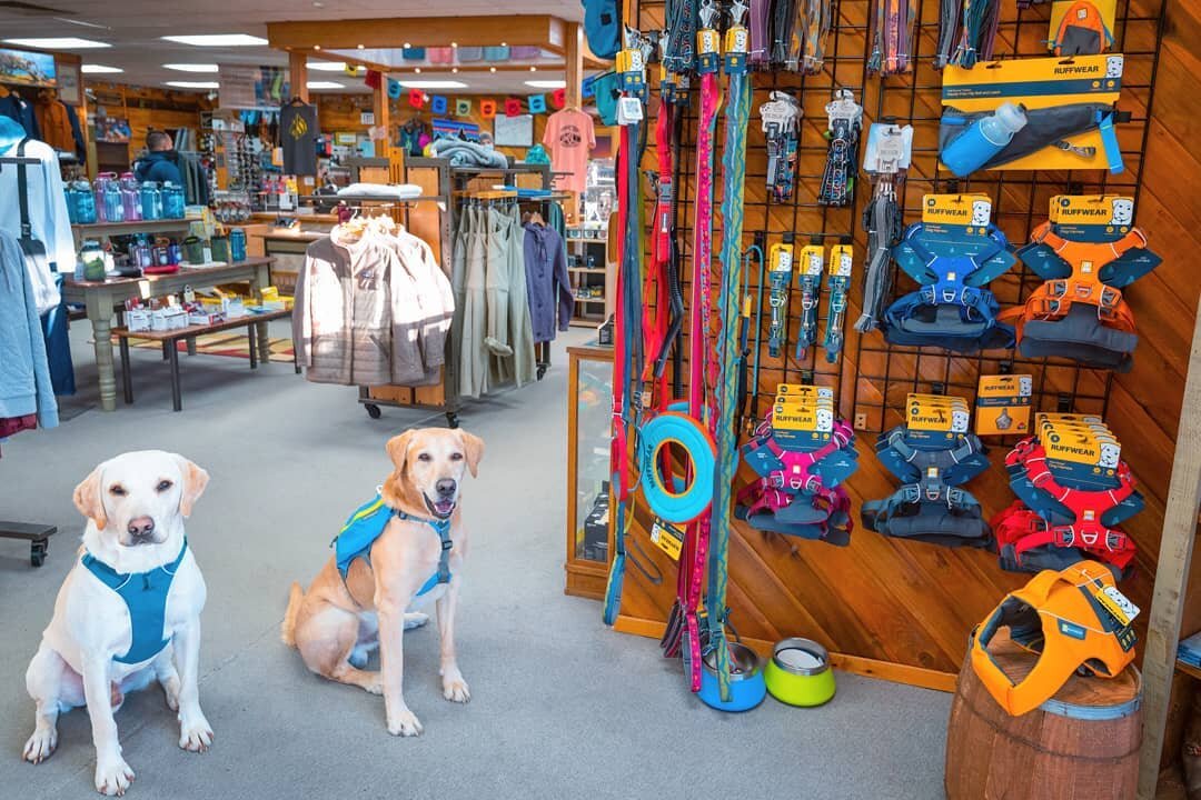 New Shipment of @ruffwear in at the shop, come get your paws on it.