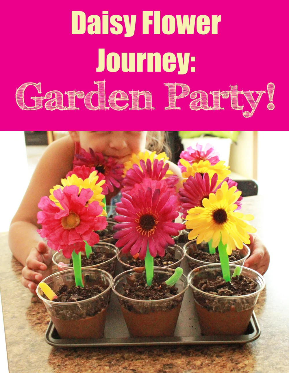 Daisy Flower Garden Journey Garden Party Katie De La Rosa