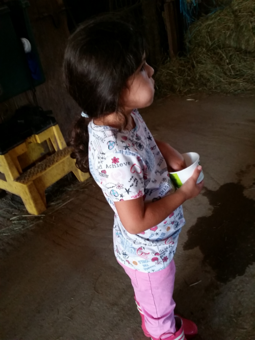 She preferred to eat the snack over feeding the horse.. lol She must have been really hungry!