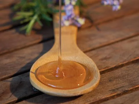 Liquid Wildflower Honey.jpg