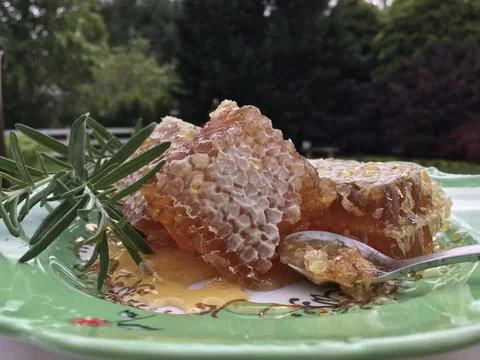 combed honey.jpg