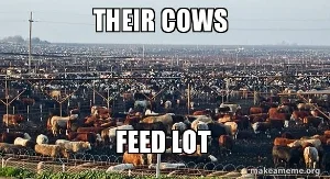 their-cows.jpg