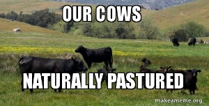 our-cows.jpg