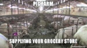 pig-farm-supplying.jpg