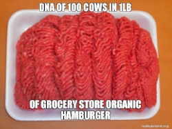 dna-of-100-cows.jpg