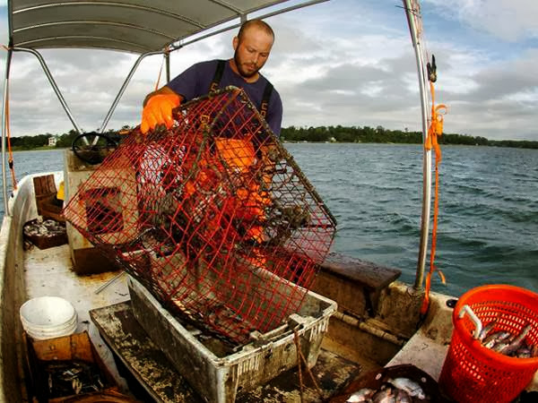 joe crabbing.jpg