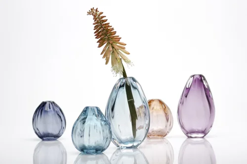 Seed Vases_newsletter.jpg