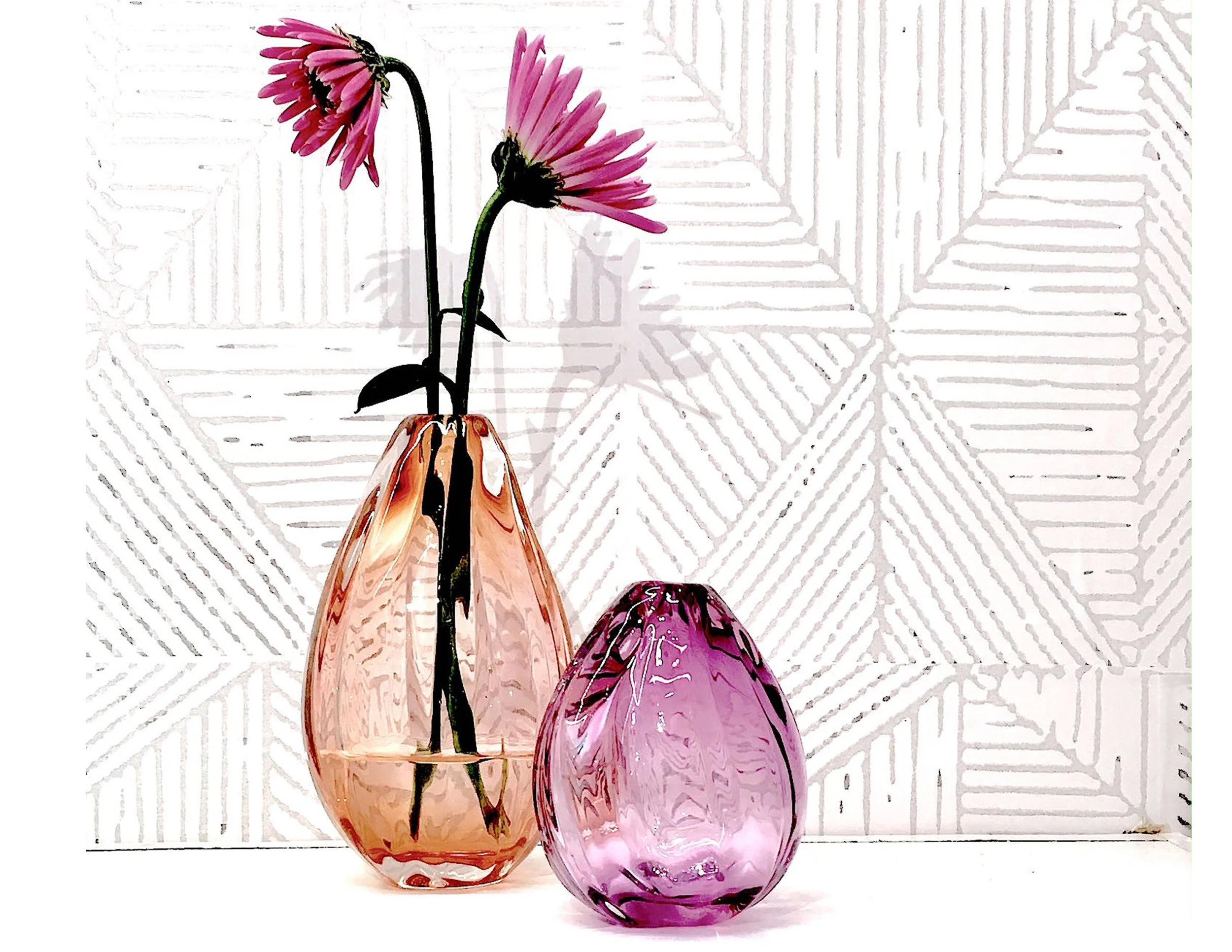 Seed Vases wallpaper.jpg
