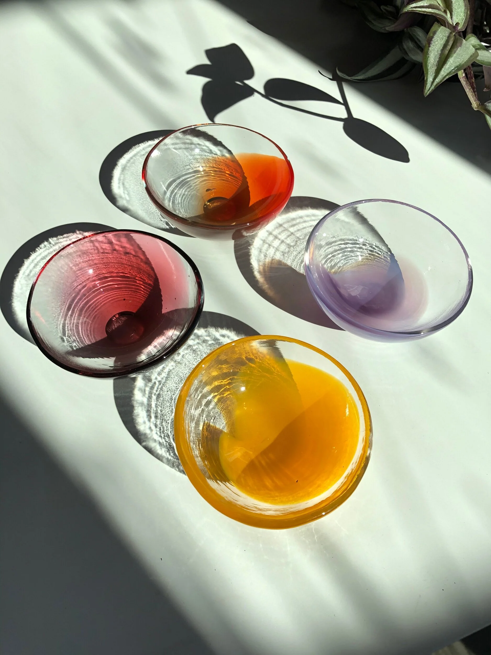 1962898C-CFC9-468B-96CF-A3B8AF1D5F4A