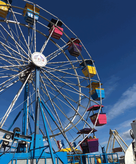 The Ferris Wheel that we did not ride, but looked pretty while we passed by!