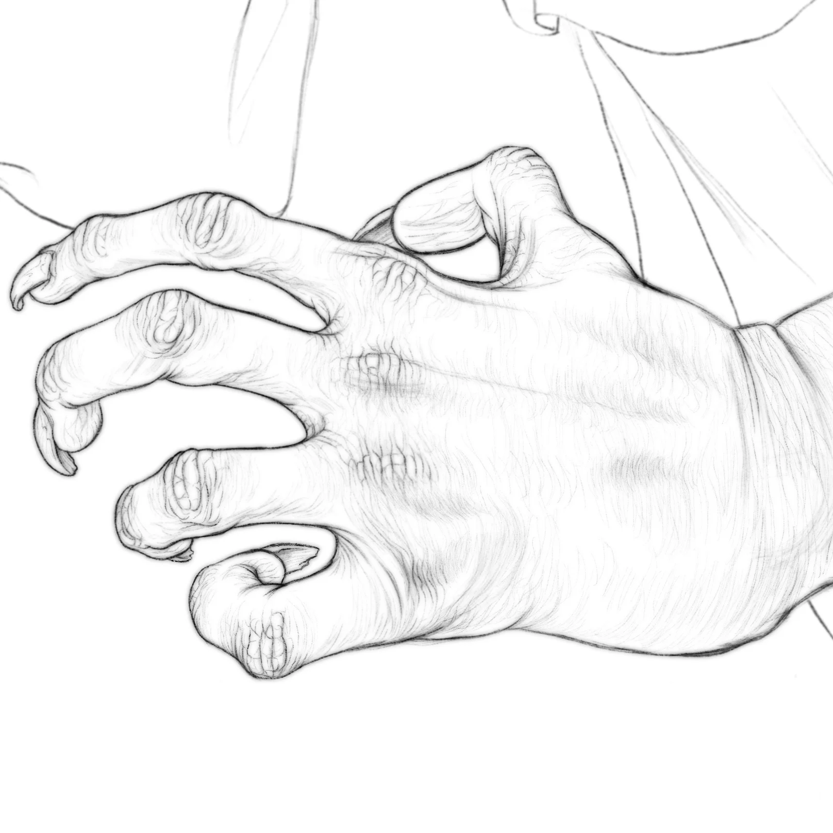 The Nun – hand sketch