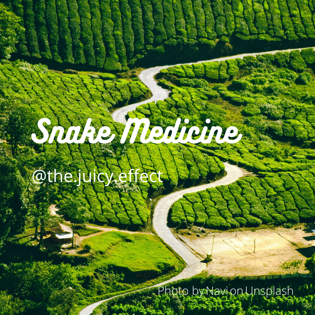 Snake Medicine For Transformation &amp; Healing