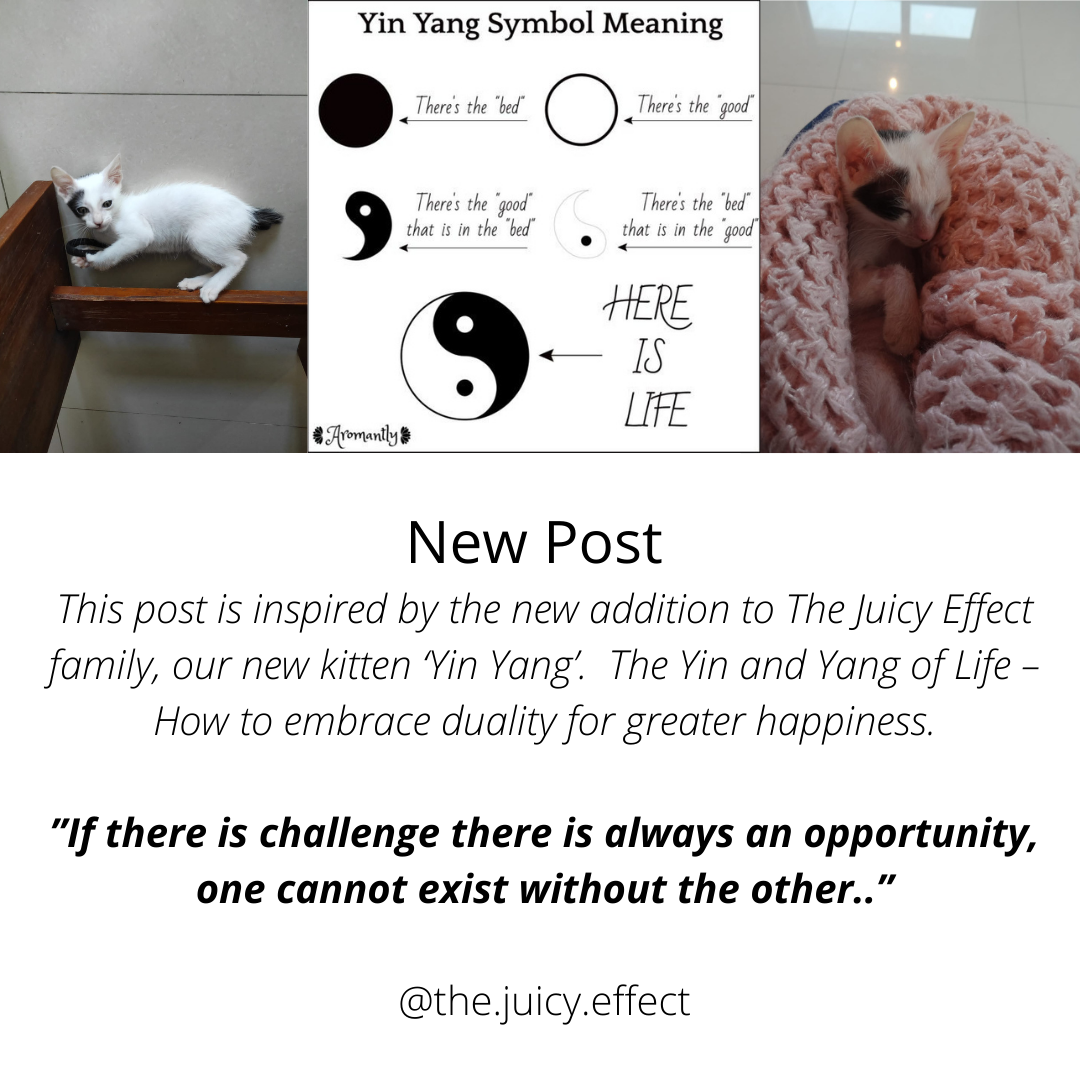 The Yin &amp; Yang Of Life - How To Embrace Duality For Greater Happiness