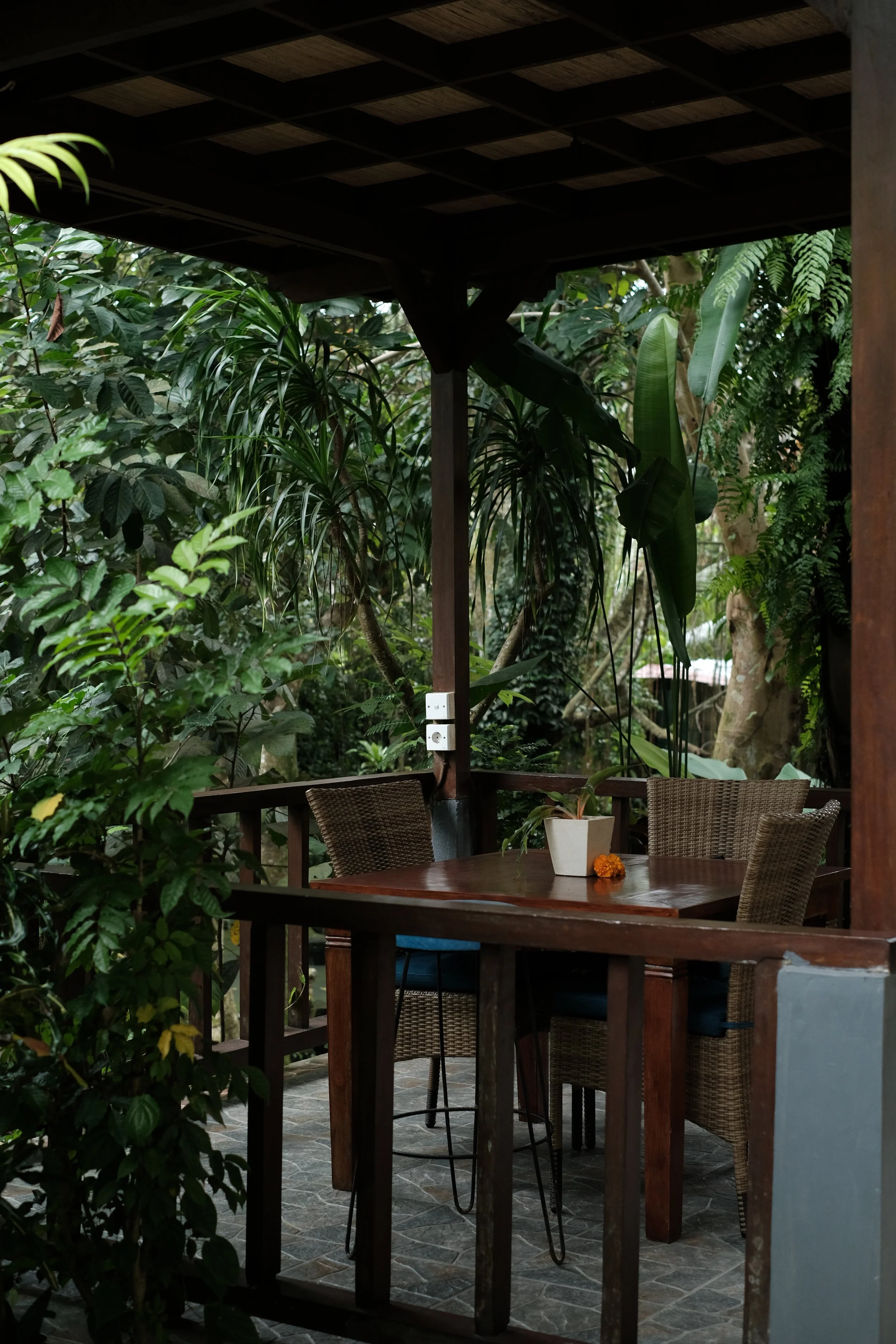 Rent our jungle-view rooms in ubud at The Juicy Effect