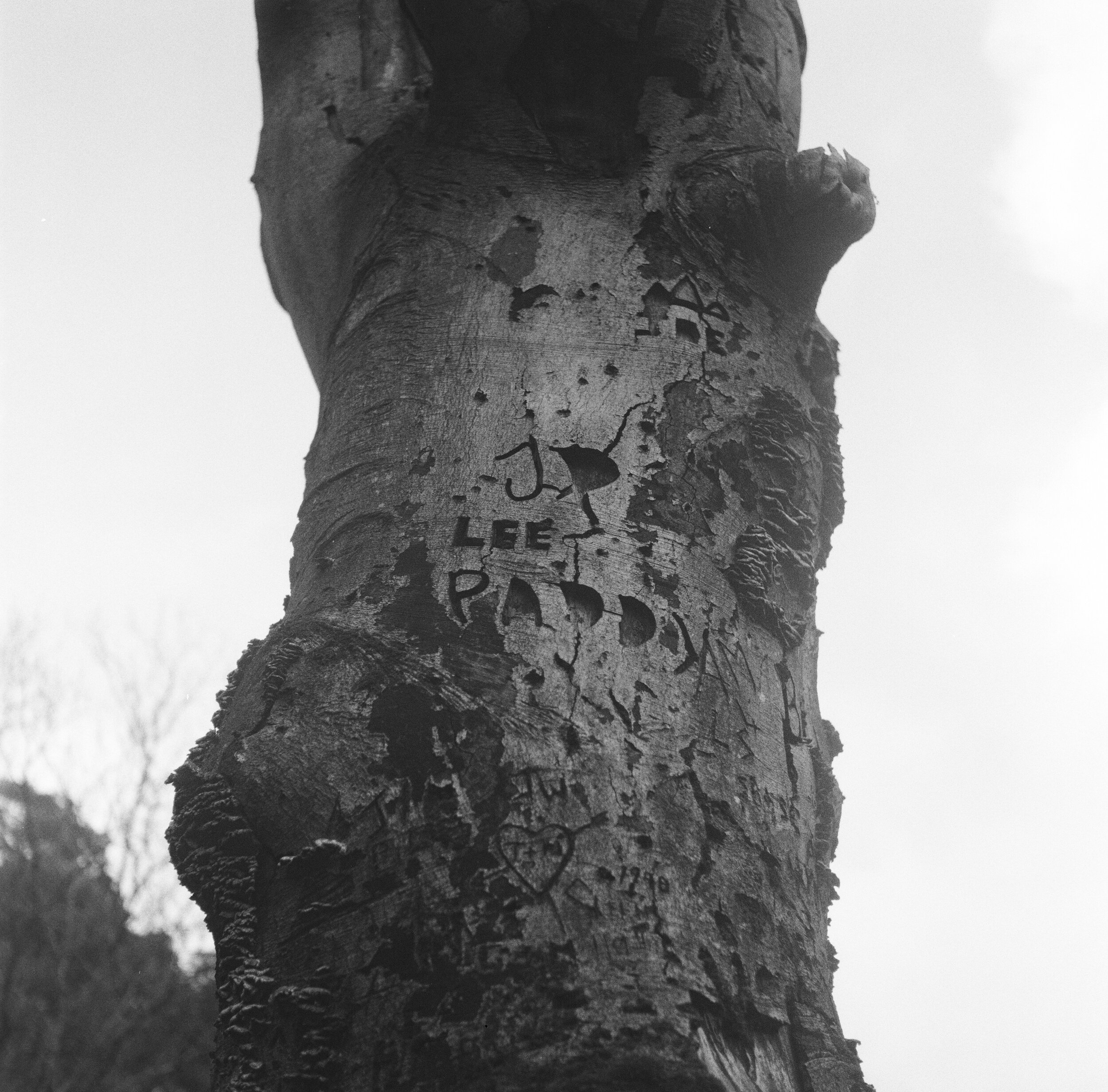 SH_Mar_21_120_HP5_Cambridge_6.jpg