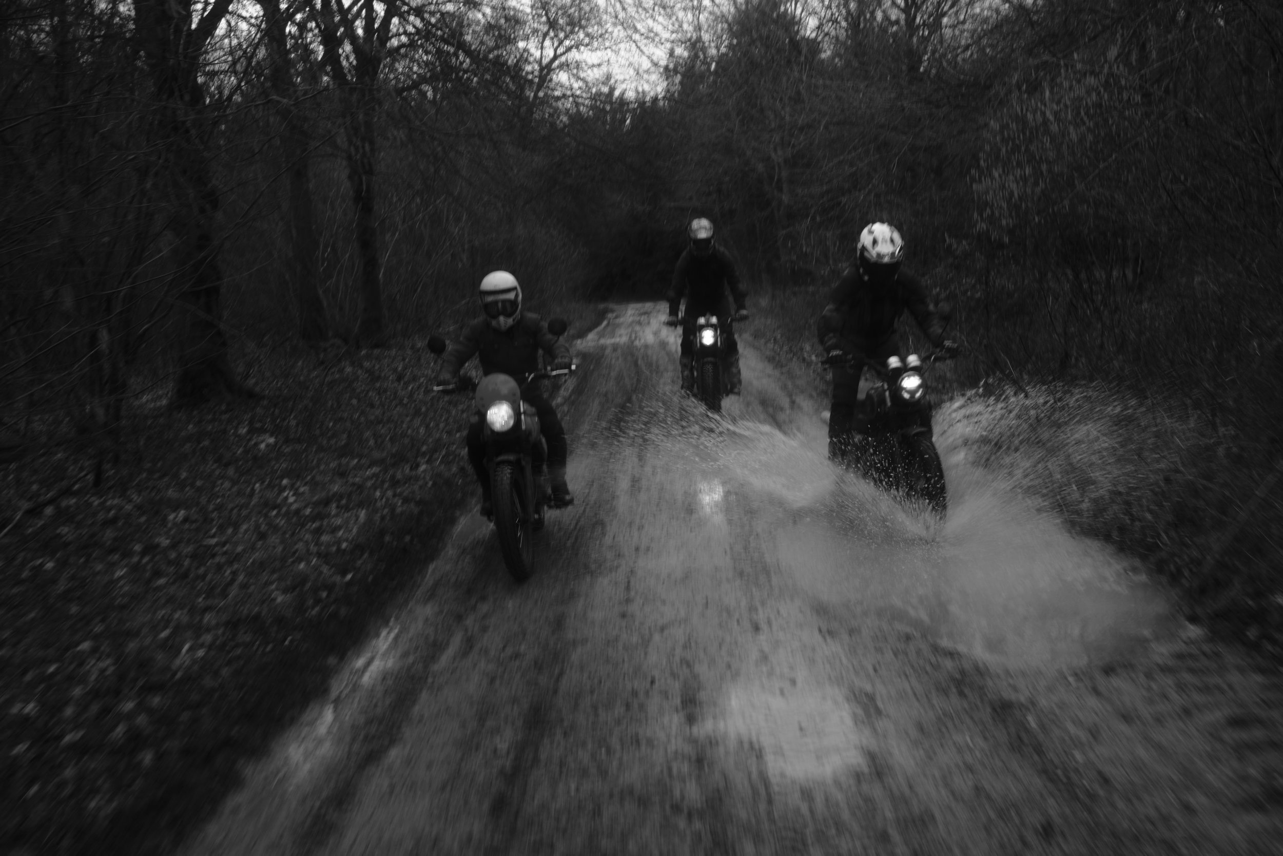 1. SH_MAR_23_AJS_SALISBURY_40_12-03-23_23mm.JPG