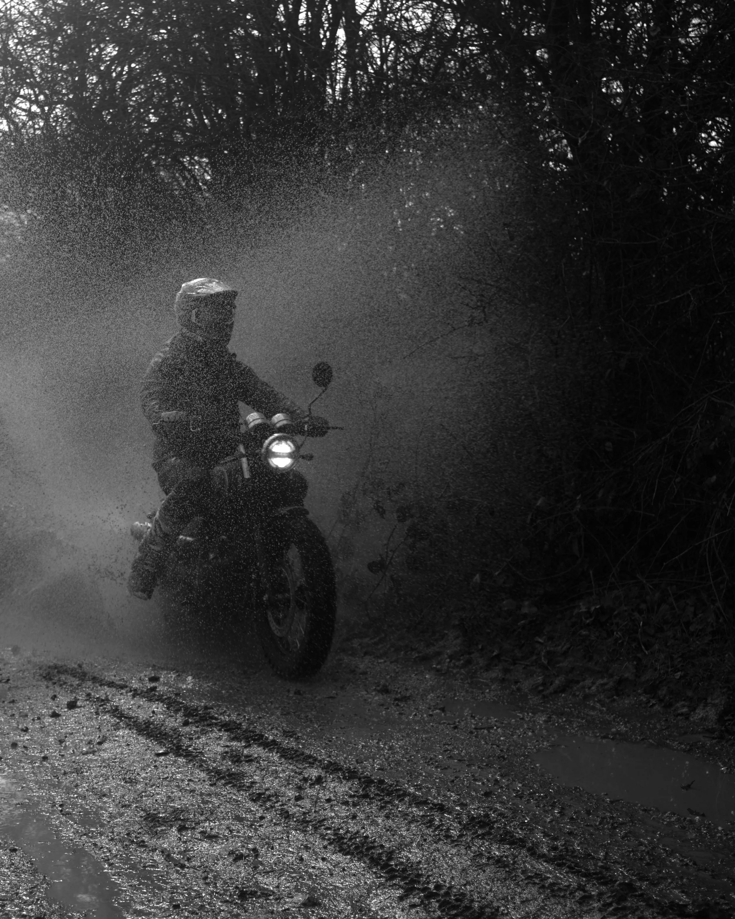 1. SH_MAR_23_AJS_SALISBURY_33_12-03-23_23mm.JPG