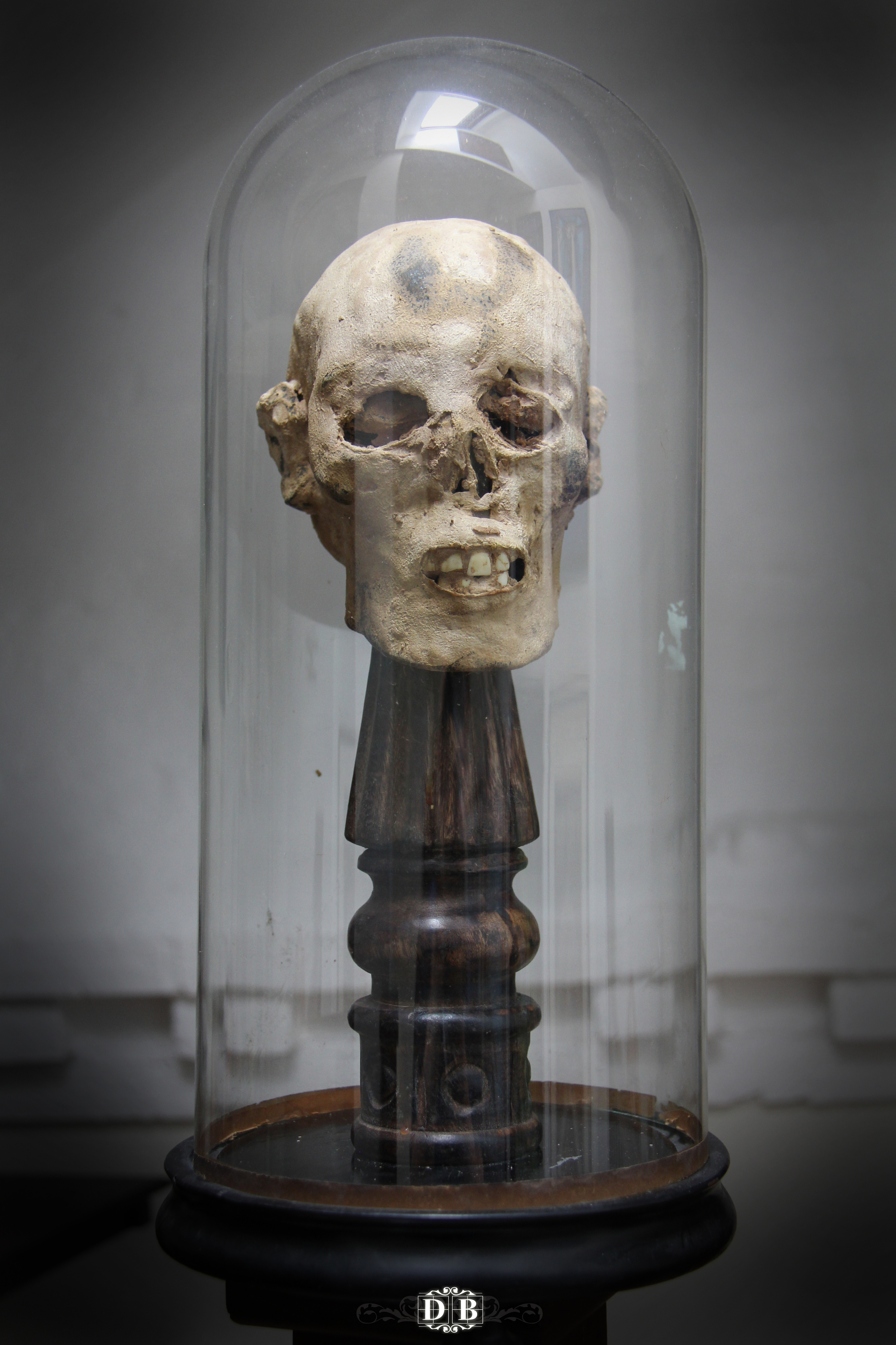 Mummified_Head_2.jpg