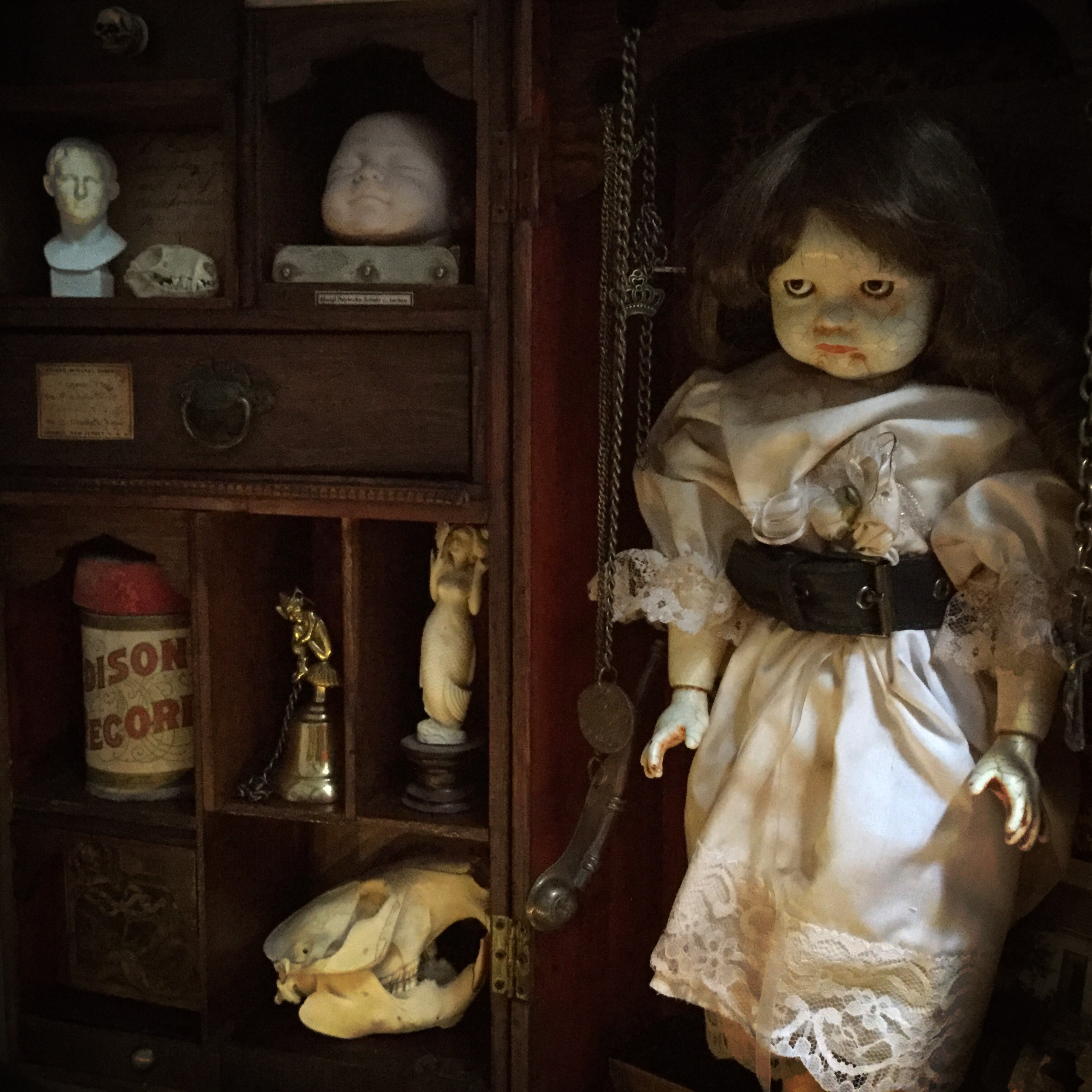 Cabinet Of Curiosities Oddities Globe Eye Sleepy Of Doll Antique Doll Eyes 