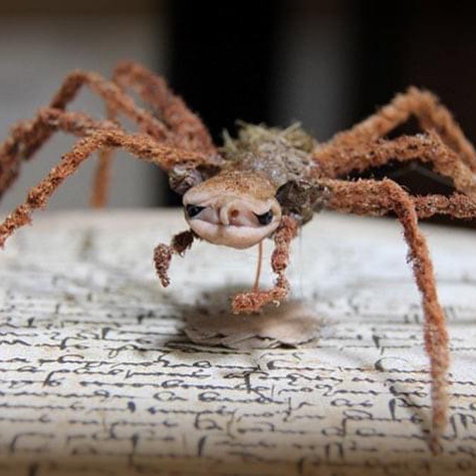 Goblin Spiderling - polymer clay &amp; natural materials.  #ooak #fantasyart #faeart #brianfroud #labyrinth #mythicalcreatures #spiders #odditiesandcuriosities #oddities #creaturedesign #guillermodeltoro